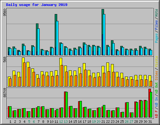 Daily usage for January 2019