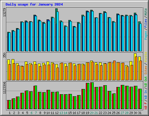 Daily usage for January 2024