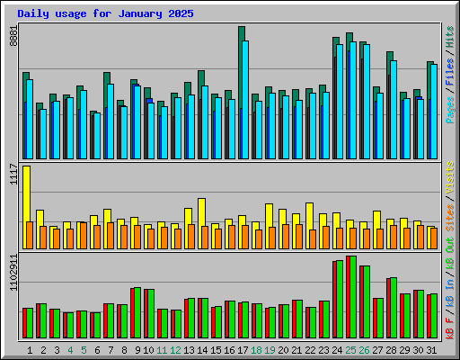 Daily usage for January 2025