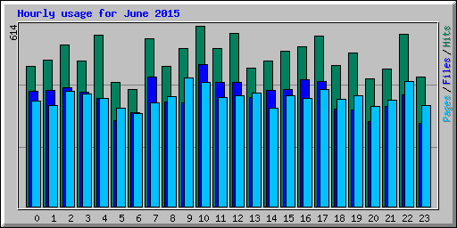 Hourly usage for June 2015