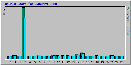 Hourly usage for January 2020