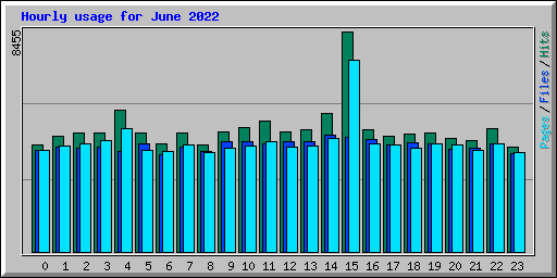 Hourly usage for June 2022