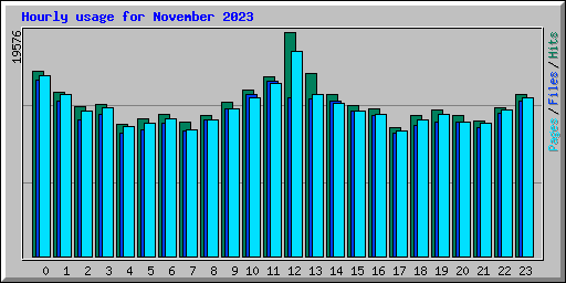 Hourly usage for November 2023