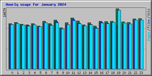Hourly usage for January 2024