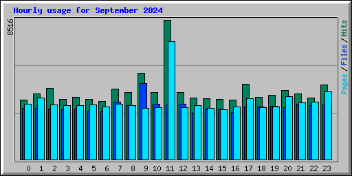 Hourly usage for September 2024
