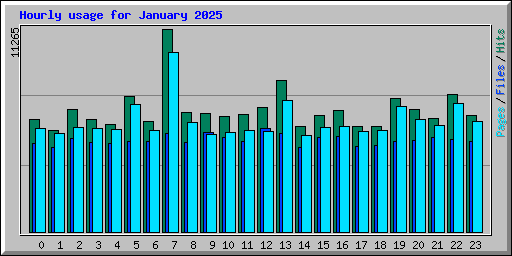 Hourly usage for January 2025