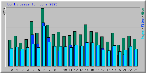 Hourly usage for June 2025