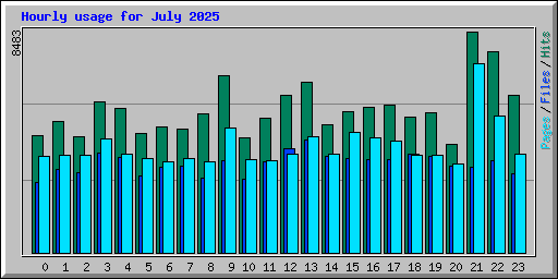 Hourly usage for July 2025