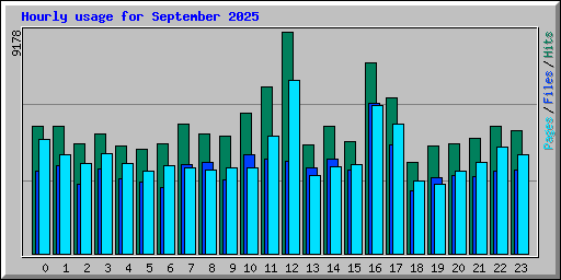 Hourly usage for September 2025
