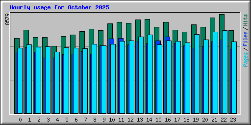 Hourly usage for October 2025