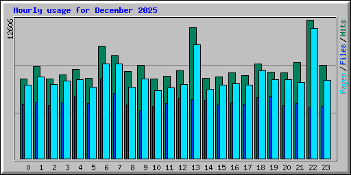 Hourly usage for December 2025