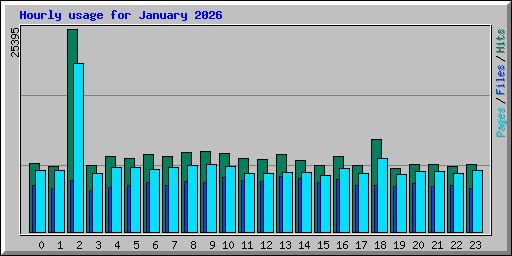 Hourly usage for January 2026