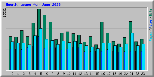Hourly usage for June 2026