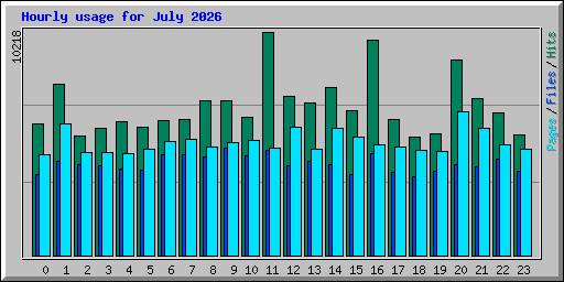 Hourly usage for July 2026
