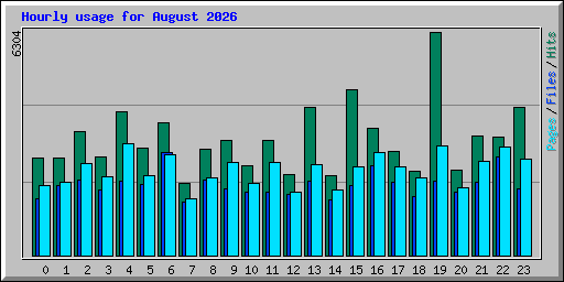 Hourly usage for August 2026
